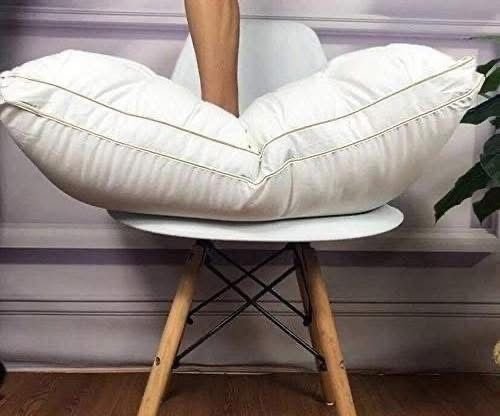 بديل الريش نعام